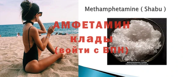 a pvp Новозыбков