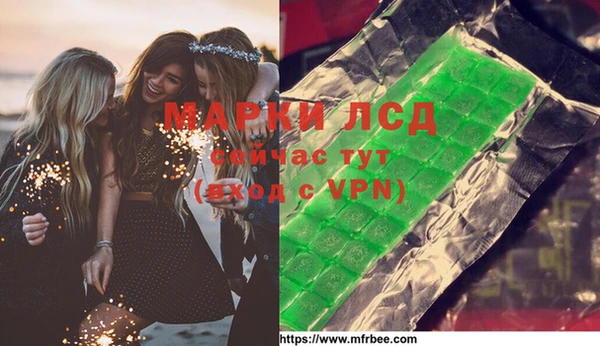 a pvp Новозыбков
